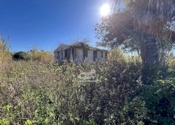 Terreno agricolo Marsala - foto 10