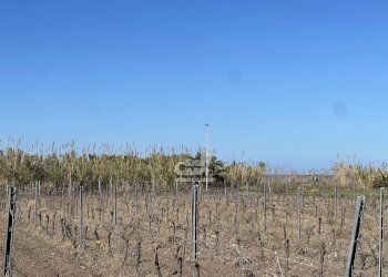 Terreno agricolo Marsala - foto 11