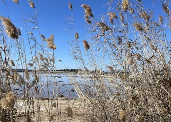 Terreno agricolo Marsala - foto 15