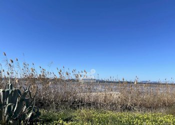 Terreno agricolo Marsala - foto 17