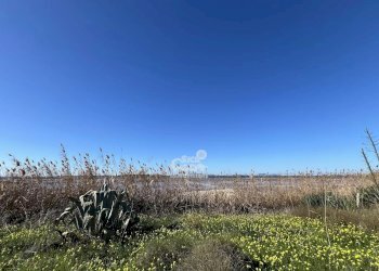 Terreno agricolo Marsala - foto 18