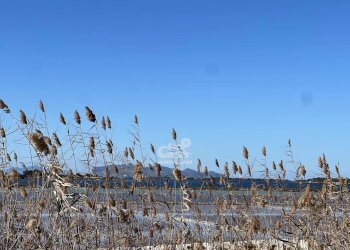 Terreno agricolo Marsala - foto 19