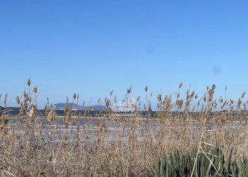 Terreno agricolo Marsala - foto 20