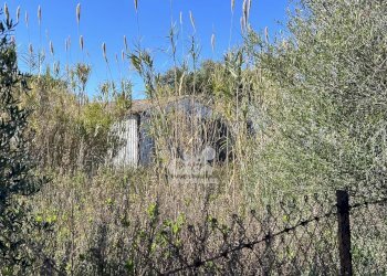 Terreno agricolo Marsala - foto 23