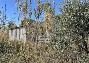 Terreno agricolo Marsala - foto 24