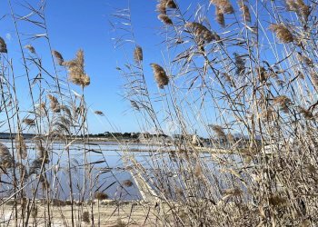 Terreno agricolo Marsala - foto 30