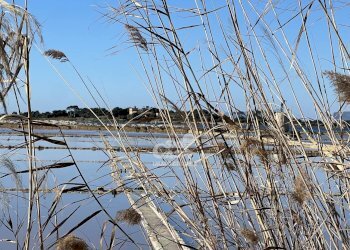 Terreno agricolo Marsala - foto 31