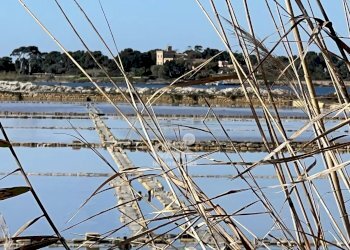 Terreno agricolo Marsala - foto 32