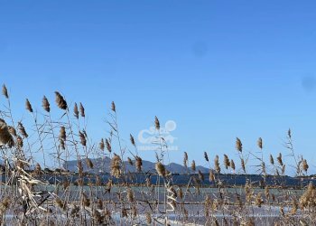 Terreno agricolo Marsala - foto 33