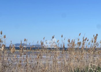 Terreno agricolo Marsala - foto 34