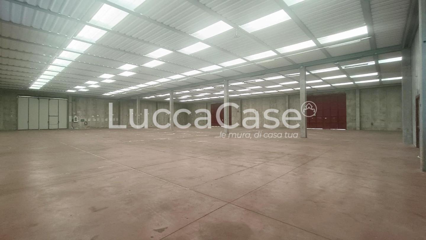 Capannone Lucca - foto 1