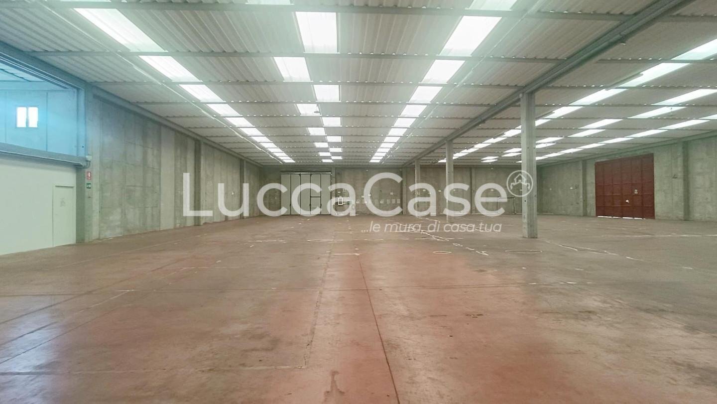 Capannone Lucca - foto 2