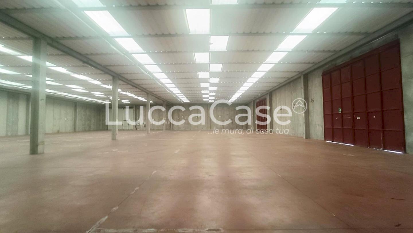 Capannone Lucca - foto 3