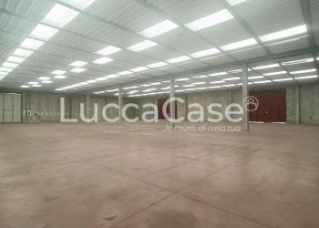 Capannone Lucca - foto 1