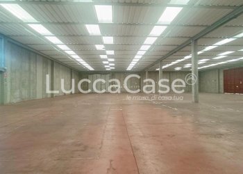 Capannone Lucca - foto 2