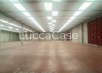 Capannone Lucca - foto 3