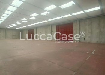 Capannone Lucca - foto 4