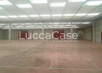 Capannone Lucca - foto 5