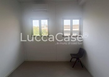 Capannone Lucca - foto 8