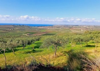 Terreno agricolo Contrada Castellana sp 79, Sciacca - foto 1