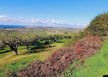 Terreno agricolo Contrada Castellana sp 79, Sciacca - foto 3