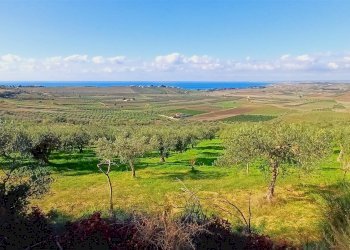 Terreno agricolo Contrada Castellana sp 79, Sciacca - foto 5