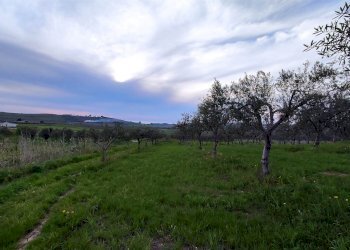 Terreno agricolo Contrada Castellana sp 79, Sciacca - foto 6