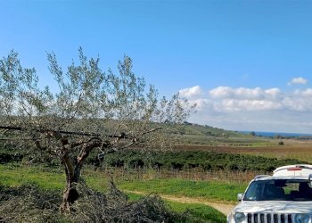Terreno agricolo Contrada Castellana sp 79, Sciacca - foto 8