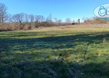 Casa indipendente loc. San quirico, Barbarano Romano - foto 15