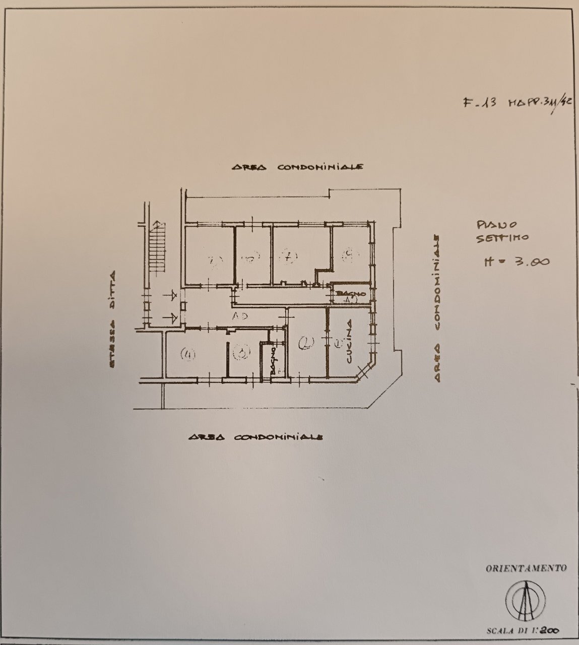 Pocai plan.jpg - Attico Arcola - planimetria 1
