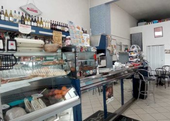 IMG-20240131-WA0024.jpg - Bar Tavola Calda - Fredda Carrara - foto 1