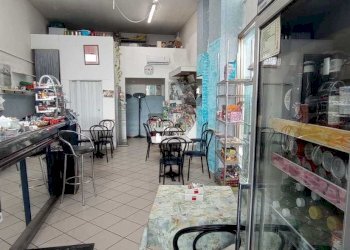 IMG-20240131-WA0025.jpg - Bar Tavola Calda - Fredda Carrara - foto 2