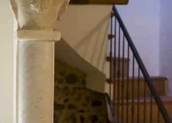 IMG_1380.jpg - Terratetto - Terracielo Pietrasanta - foto 4