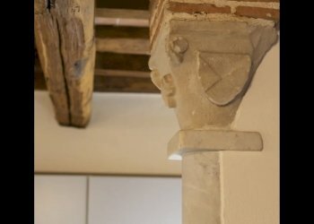 IMG_1362.jpg - Terratetto - Terracielo Pietrasanta - foto 7