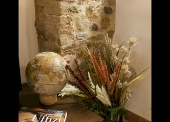 IMG_1361.jpg - Terratetto - Terracielo Pietrasanta - foto 8