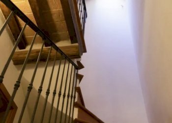 IMG_1351.jpg - Terratetto - Terracielo Pietrasanta - foto 14