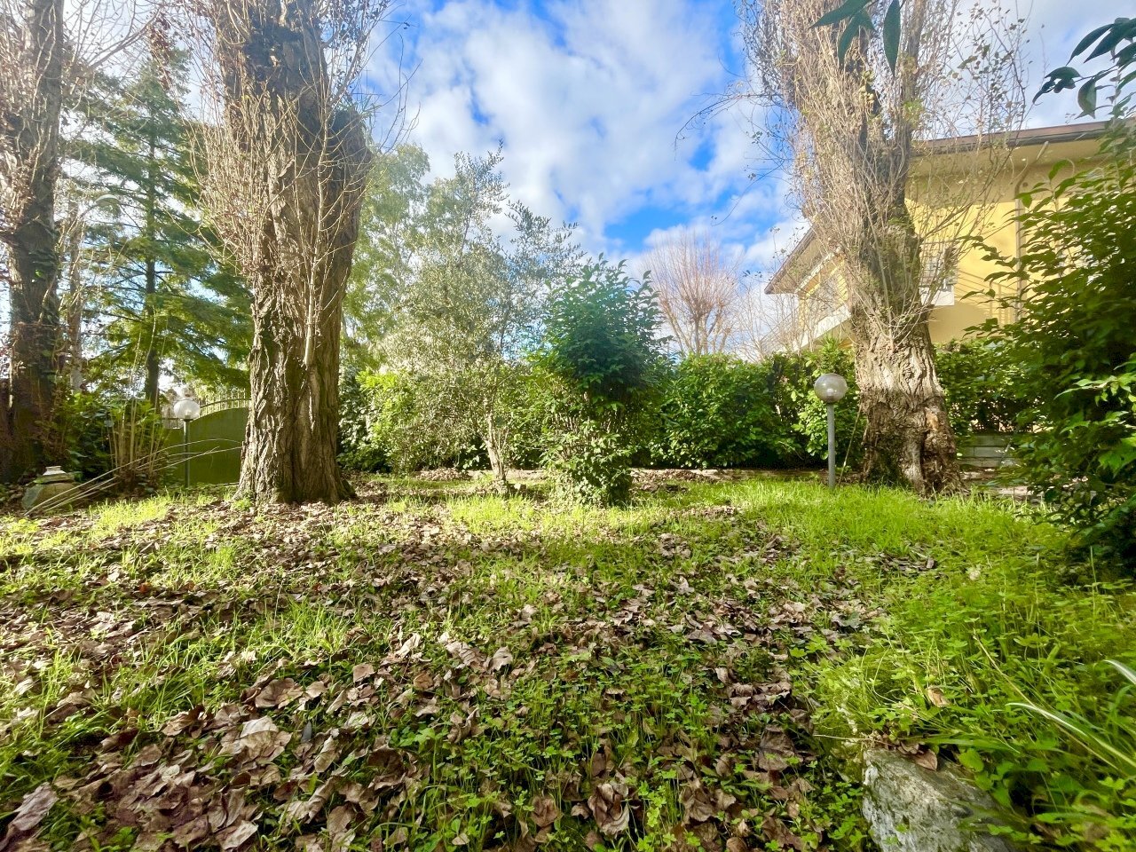 IMG_1328 2.JPG - Appartamento Pietrasanta - foto 3