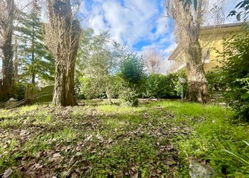 IMG_1328 2.JPG - Appartamento Pietrasanta - foto 3