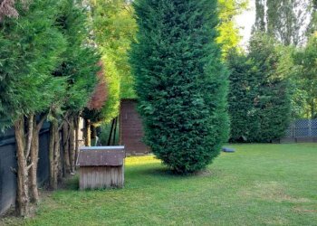 Three-room apartment Via Emilia Est, Modena - photo 2