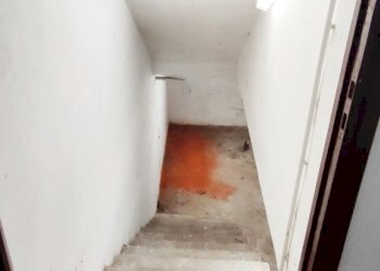 Apartment Albinea - photo 15