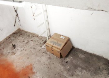 Apartment Albinea - photo 16