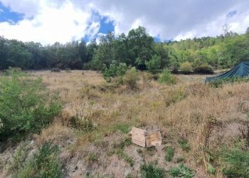 Terreno edificabile Saint-Oyen - foto 2