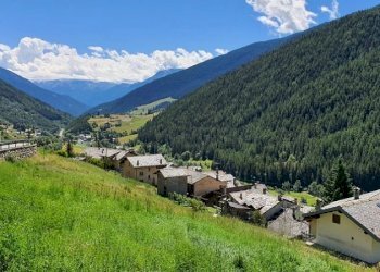 Terreno edificabile Saint-Oyen - foto 4