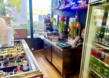 Commercial Activity via Nomentana, Fonte Nuova - photo 6