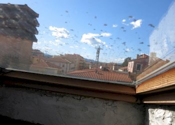 Immaginefoto nuove 469.jpg - Attico Sarzana - foto 12