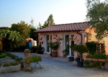 ven. diretta.jpg - Casale via di san martino, Lucca - foto 1