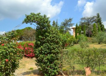 fattoria 2012 019.jpg - Casale via di san martino, Lucca - foto 10