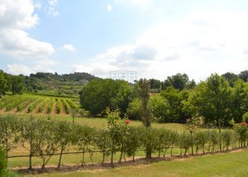 fattoria 2012 021.jpg - Casale via di san martino, Lucca - foto 11