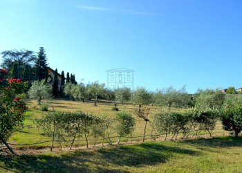 fattoria 2012 037.jpg - Casale via di san martino, Lucca - foto 15