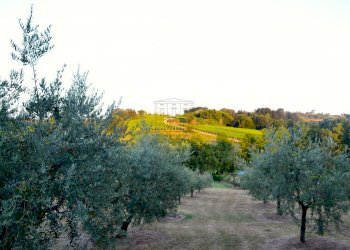 fattoria 2012 039.jpg - Casale via di san martino, Lucca - foto 16